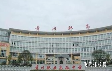 四川省青川县职业高级中学2024招生简章