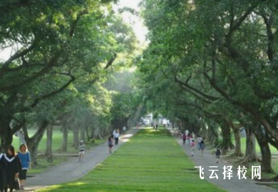 高中选什么科可以学金融
