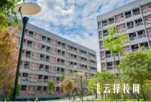 四川理工技师学院在哪里怎么去