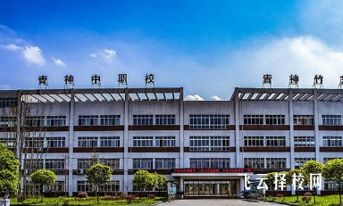 四川省青神中等职业学校是高中还是大专