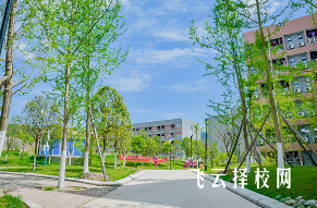 四川省经济管理学校是职高还是技校