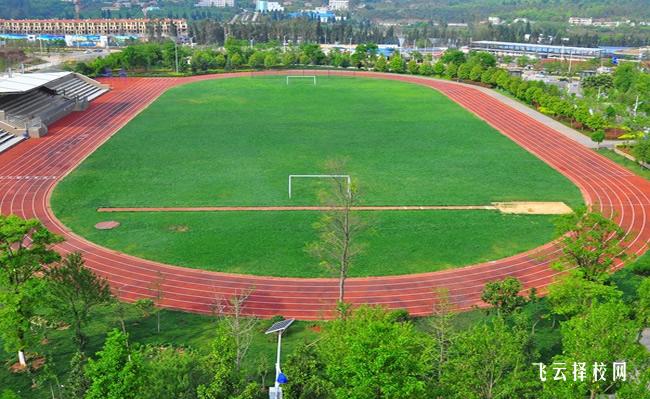 四川省乐至县高级职业中学是职高还是技校