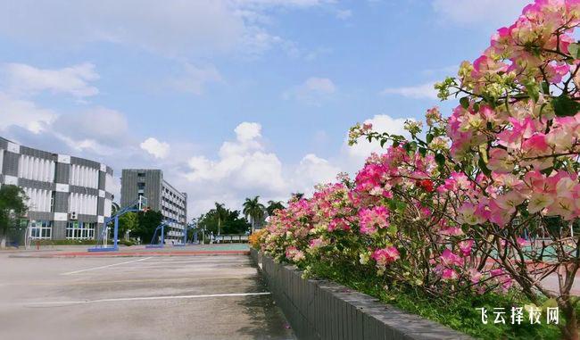 四川省荣县职业高级中学是职高还是技校