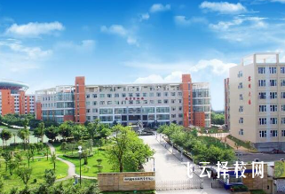 四川卫生康复职业学院是职高还是技校