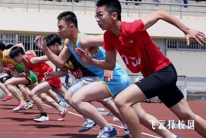 高中体育生二级运动员什么标准