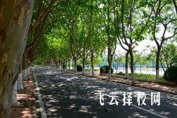 乐山嘉州卫校怎么样,中专招生条件是什么