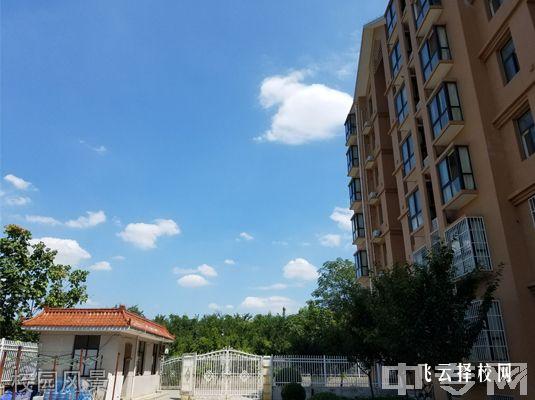天全职中怎么样,中专招生条件是什么