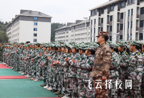 达州凤凰职校是公办吗,学校好不好