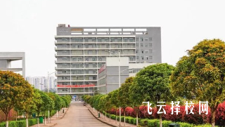 宜宾卫校有什么专业,中考录取分数多少