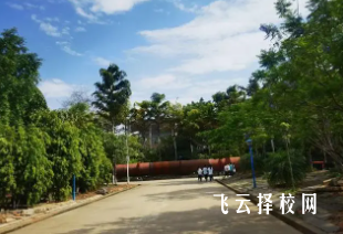 华森职校怎么收费,一年学费多少