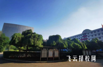 金职中怎么收费,一年学费多少