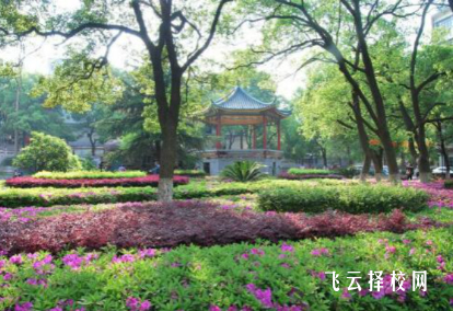 四川泸州哪所职高有中医专业