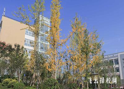 眉山药科职业学院有哪些专业