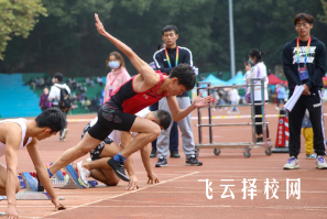 2024体育生能报考哪些院校