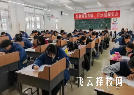 2025单招志愿可以填省外吗