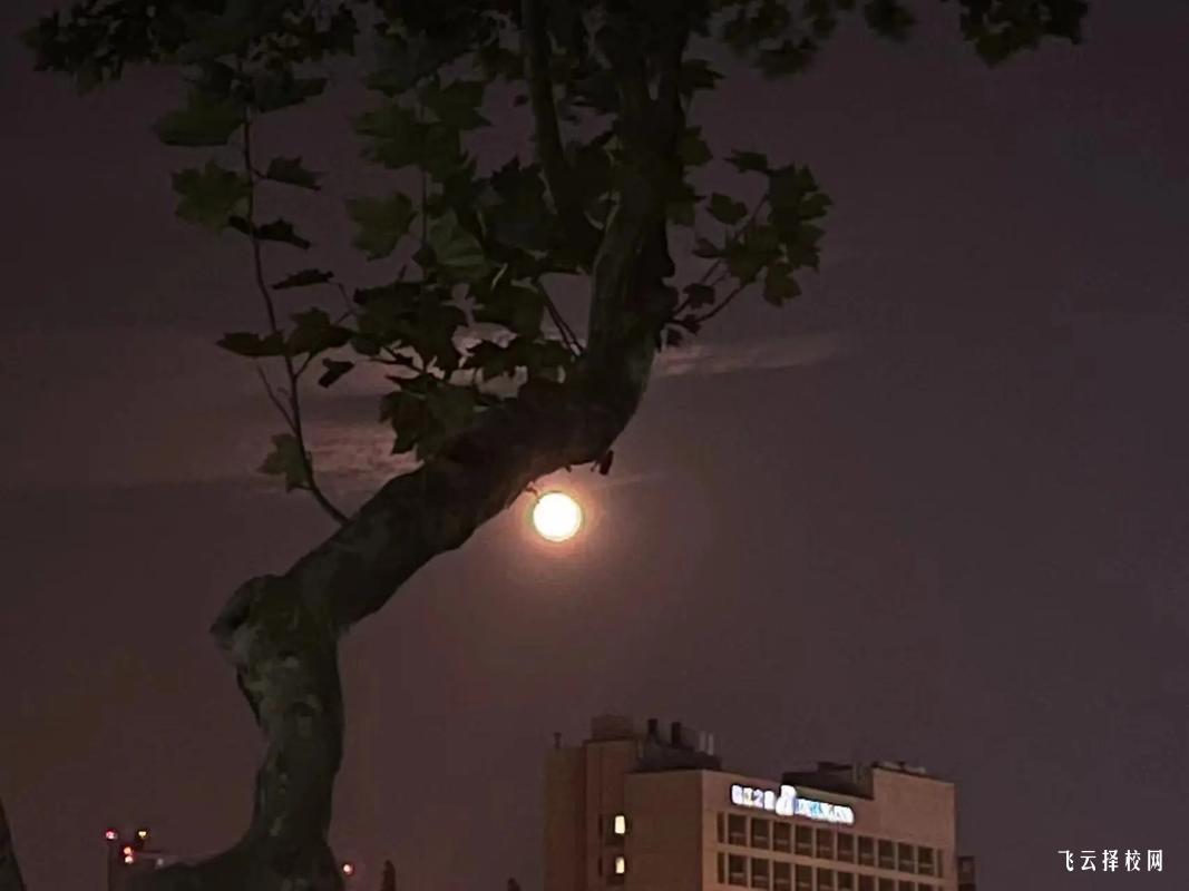 理科单招学什么专业比较好
