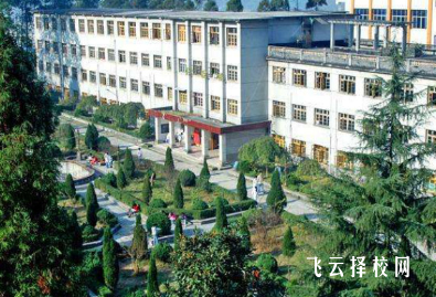 四川单招可以报重庆的学校吗