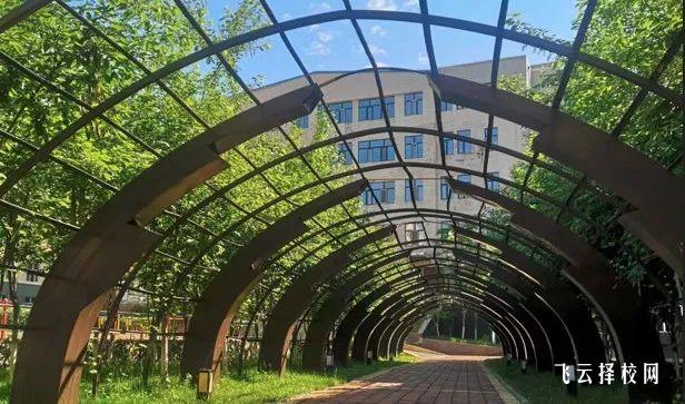 2025年绵阳职业技术学院招生计划