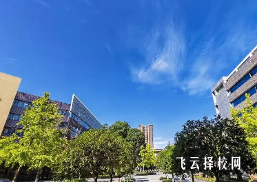成都职业技术学院初中生毕业可以上吗