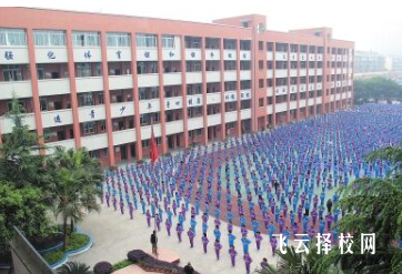 乐山欣欣职业技术学院是公办还是民办
