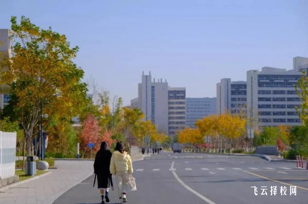 眉山工程技师学院是大专吗