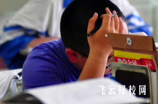 2025四川单招什么时候报名呢
