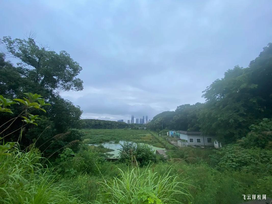 安岳职高学费一年多少钱