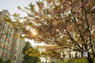 四川德阳工程技术学院分数线