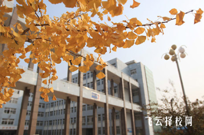 四川省开江县职业中学2025年招生简章
