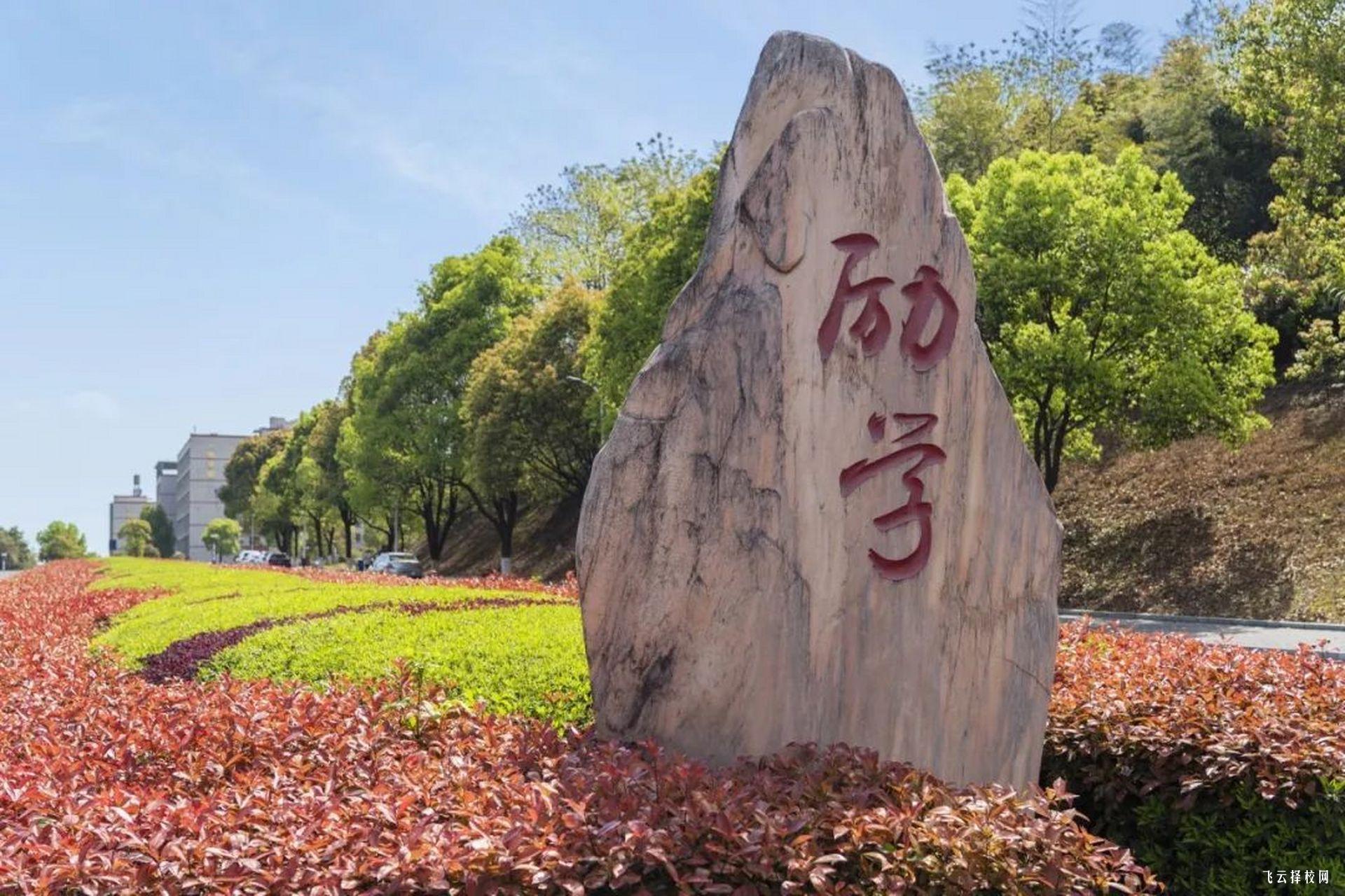攀枝花学院有些什么单招专业