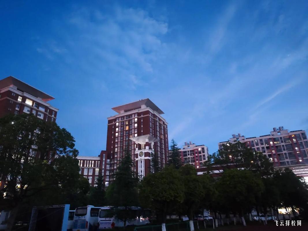 四川单招单科成绩对录取影响有多大,解答你的疑问