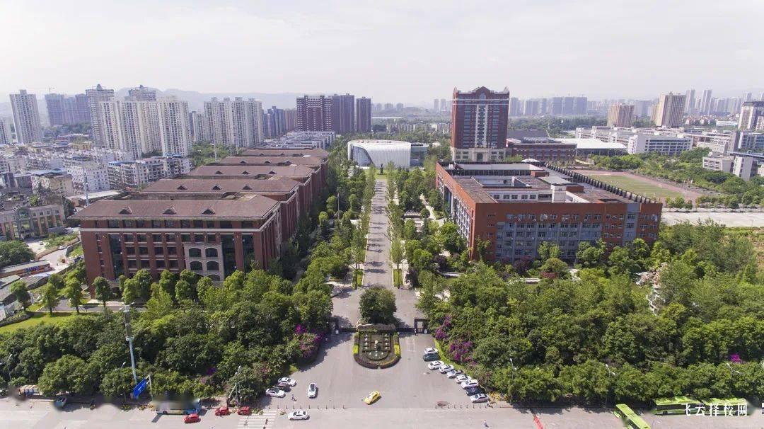 如何选择未来发展有潜力的专业