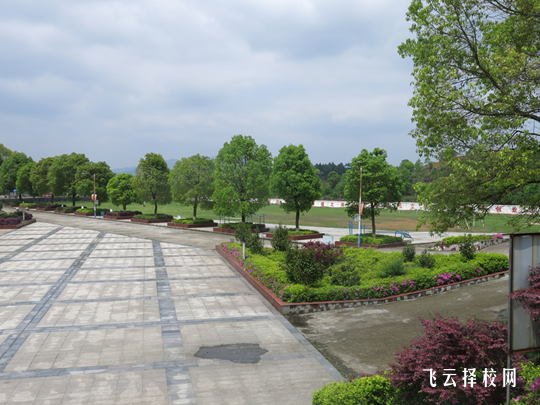 四川职高学校招生条件分析