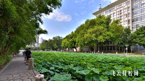 职高学校的教学理念和学习方法是怎样的