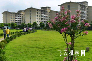 职高学校的校园文化如何影响学生成长