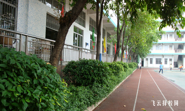 职高学校的学费和奖学金如何申请
