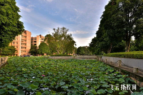 职高学校的学业负担和学习环境对比