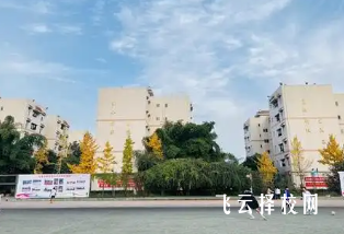 成都中医药大学附属医院针灸学校,中医针灸专业的未来前景