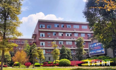 四川音乐学院附属中等艺术学校艺术类专业怎么样