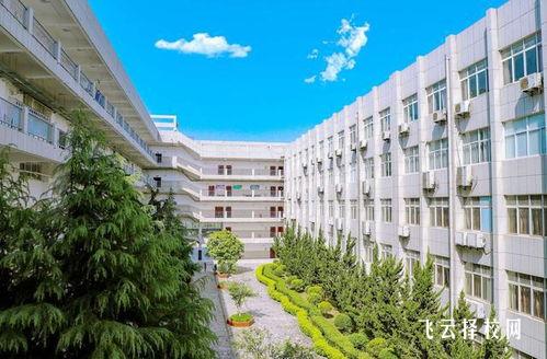 都江堰职中高考班历年录取数据
