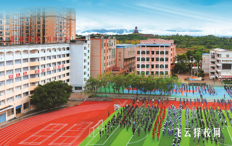 都江堰职中与普通高中对比分析报告