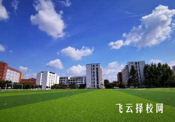 邛崃职高毕业生就业率及薪资水平调查