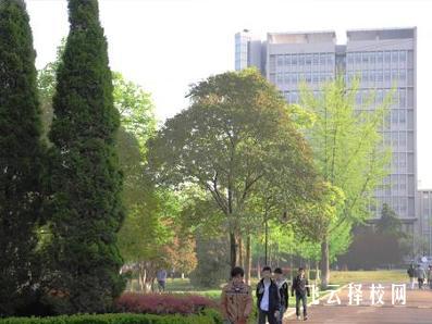 志翔职校残疾人就业帮扶案例