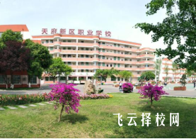 四川天府新区职业学校有哪些选择？