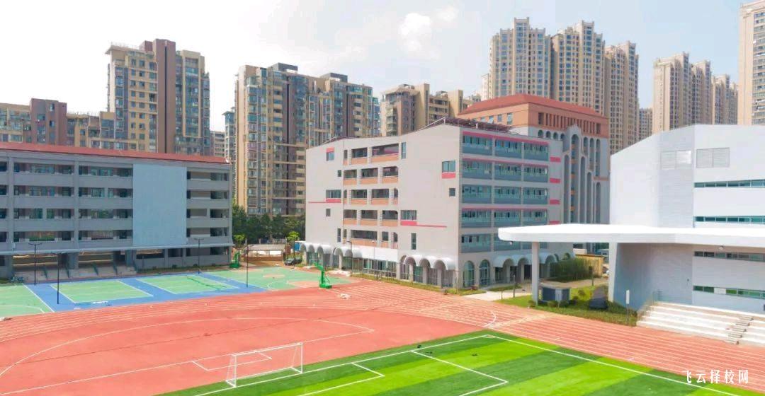 新津区职业高级中学专业选择指南