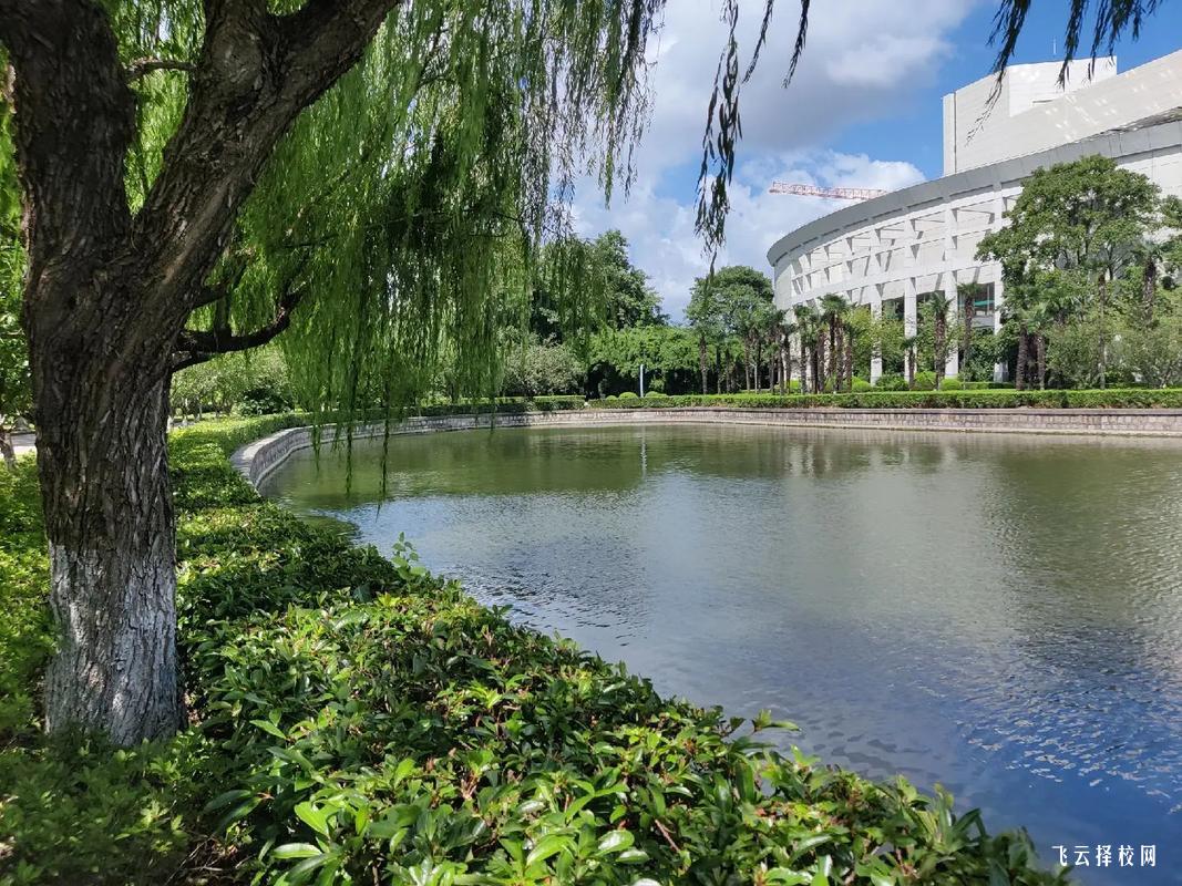 中职学校免学费政策覆盖范围与申请流程