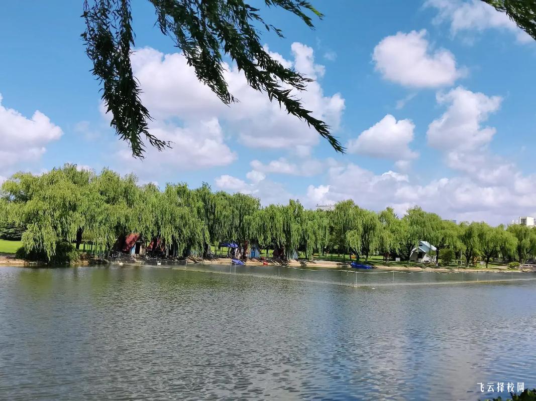 初三最后冲刺期：家长做好这4件事比补课更管用