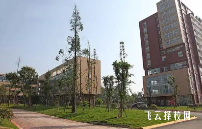 四川现代艺术学校艺术类升学率调查：适合初三学生报考吗