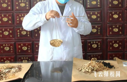‌四川理工技师学院中药专业怎么样？就业方向是什么