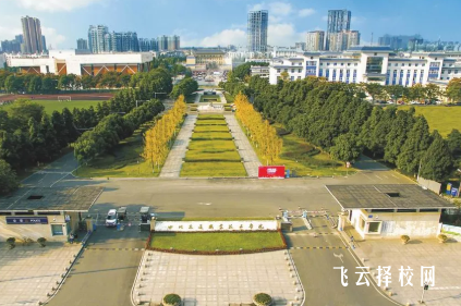 2025成都地区单招院校录取分数线排行
